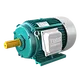 Y series 3 Phase Cast Iron Housing Induction Motor